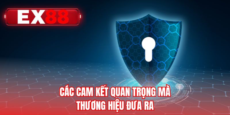 Các cam kết quan trọng mà thương hiệu đưa ra 