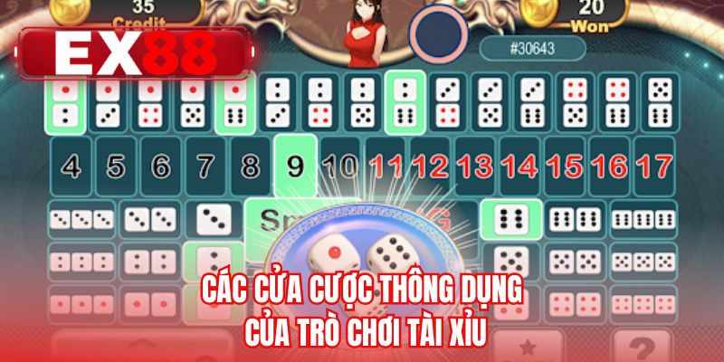 Các cửa cược thông dụng của trò chơi tài xỉu 