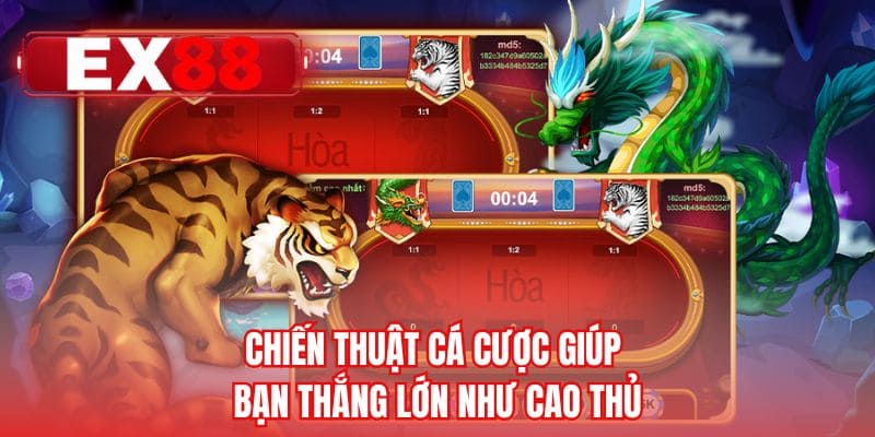 Chiến thuật cá cược giúp bạn thắng lớn như cao thủ