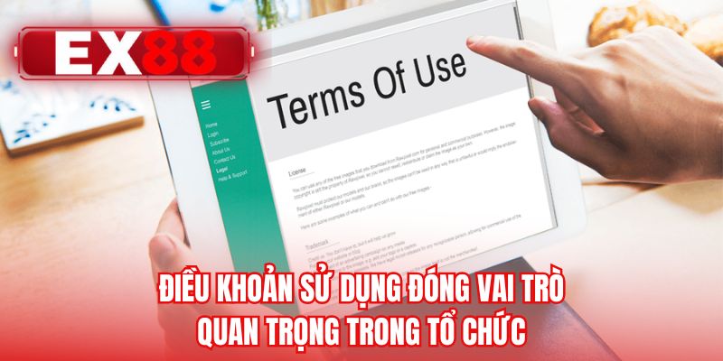 Điều khoản sử dụng đóng vai trò quan trọng trong tổ chức