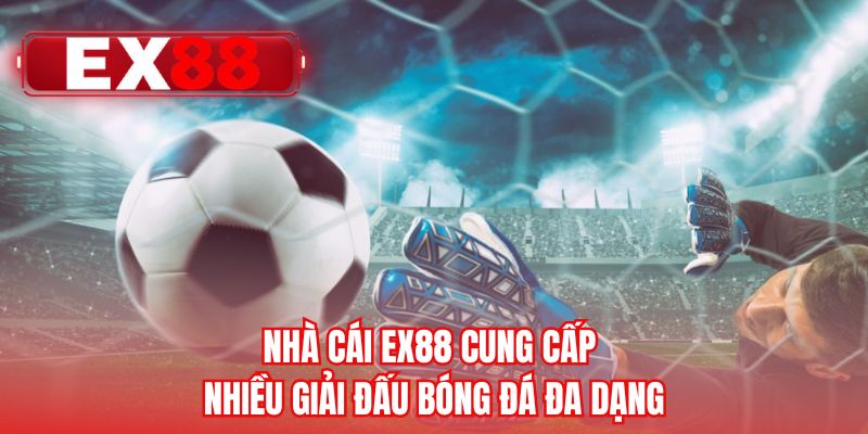 Nhà cái EX88 cung cấp nhiều giải đấu bóng đá đa dạng